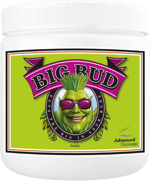 Big Bud Powder 500g