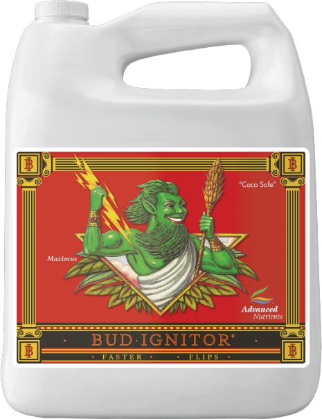 Bud Ignitor 4L