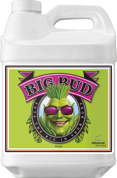 Big Bud 250mL