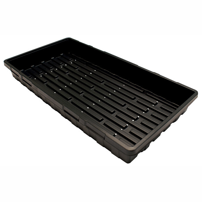 GBNP Econo Prop Tray WITH holes (CASE of 100)