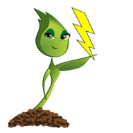 Electrical &amp; Accessories