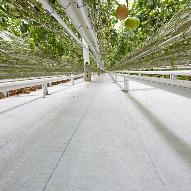 Ground Cover - White 12x300