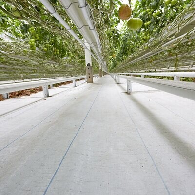 Ground Cover - White 15x300