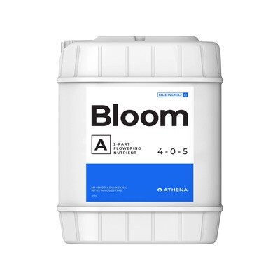 Bloom A 5 Gallon