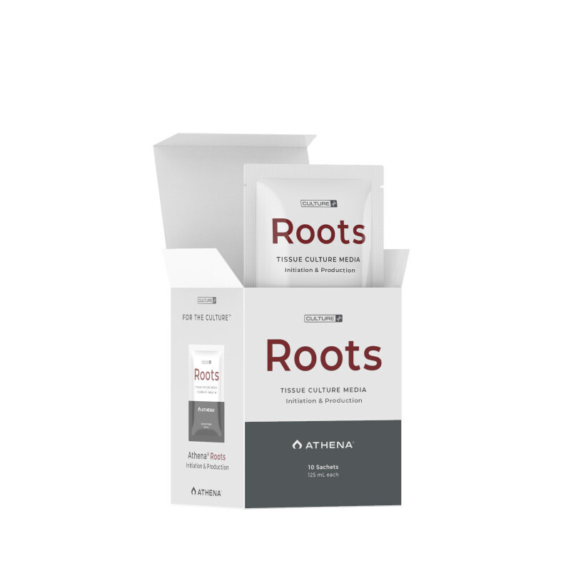 Roots Culture Media 10 pk, 125 ml