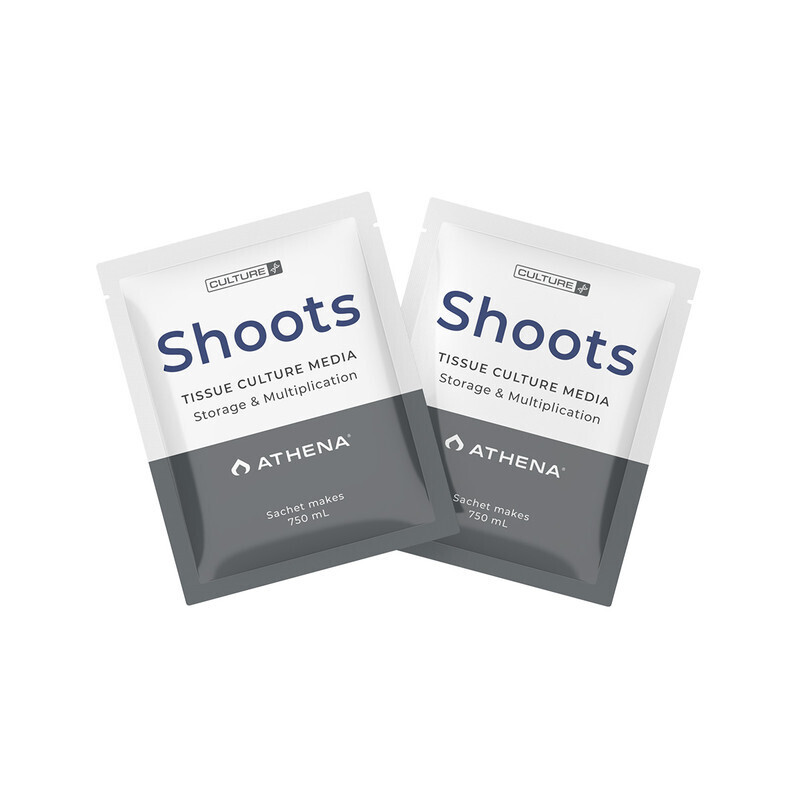 Shoots Culture Media 10 pk, 750 ml