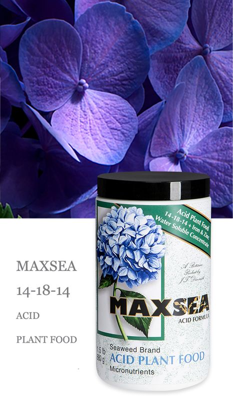 Maxsea Acid Plant Food 1.5 lb