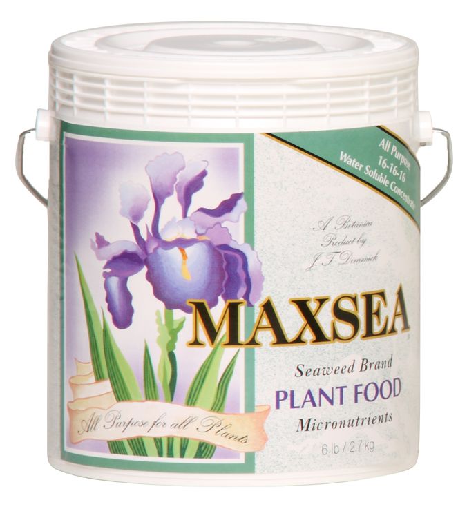 Maxsea All Purpose 16-16-16 6 lb
