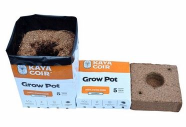 Kaya Coco, 5&quot; Compressed, Plastic Pot - Per CASE/40