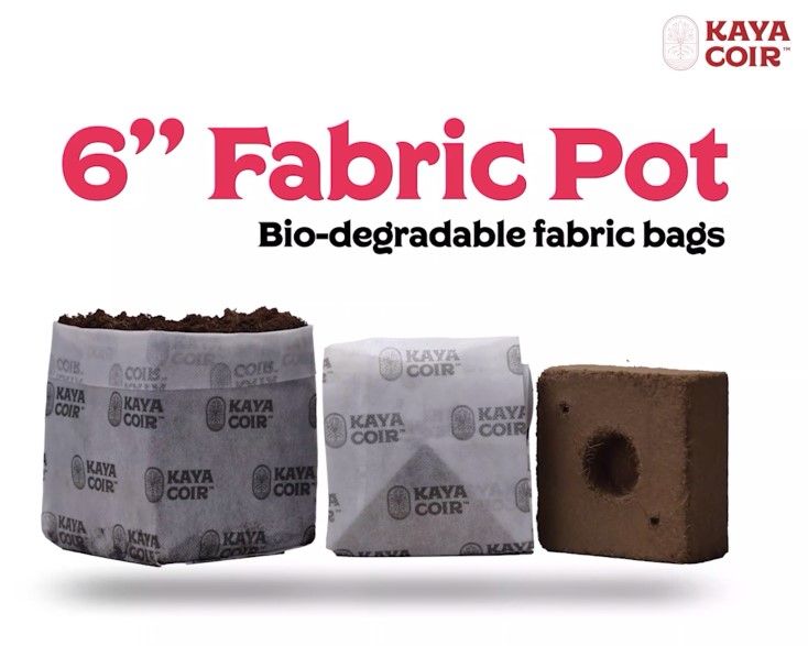 Kaya Coco, 6&quot; Compressed, Fabric Pot - Per CASE/28