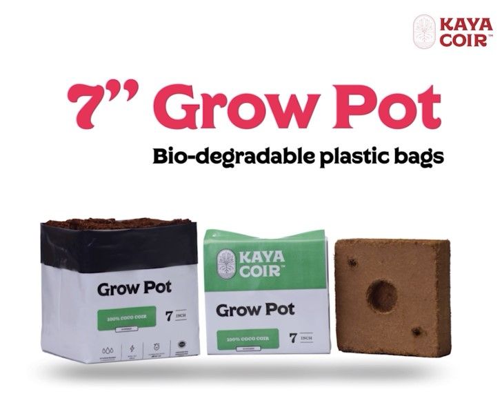 Kaya Coco, 7&quot; Compressed, Plastic Pot - Per CASE/22