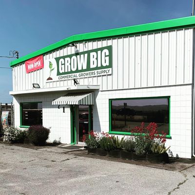 Store Pickup or Local Delivery