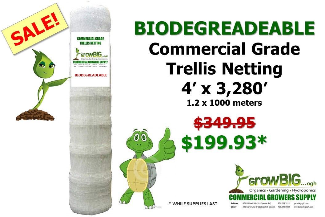 Trellis Netting 4&#39; x 3280&#39; Biodegradable