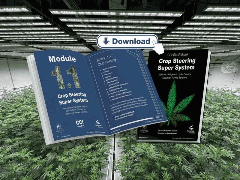 FREE e-Book by The Whipple Effect