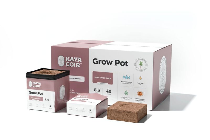Kaya Coco, 5.5&quot; Compressed, Plastic Pot - Per CASE/40
