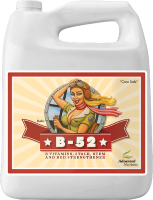 B-52 4L