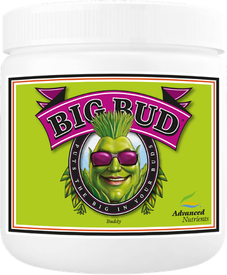 Big Bud Powder 500g