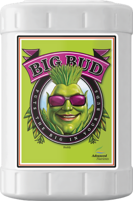 Big Bud 23L