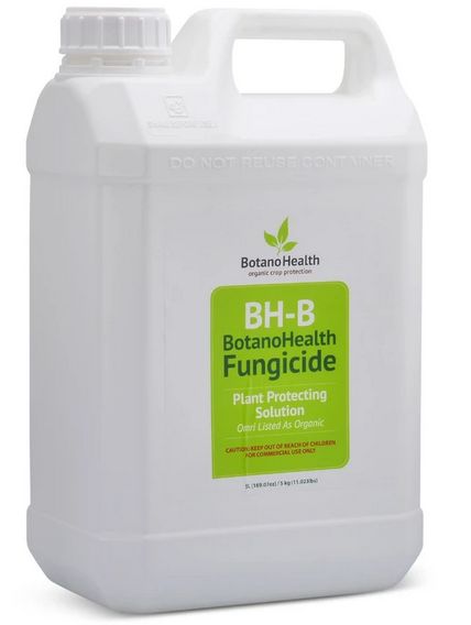 BH-B Fungicide 5L (1.3G)
