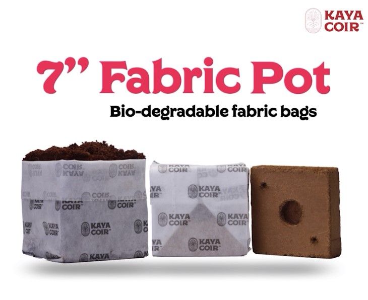 Kaya Coco, 7" Compressed, Fabric Pot - Per CASE/22