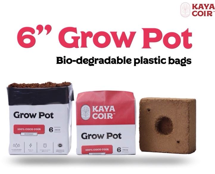 Kaya Coco, 6" Compressed, Plastic Pot - Per CASE/28