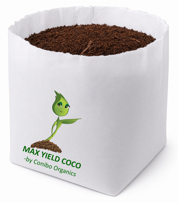 MaxYield Coco Ready-Plant 2 Gallon (PLT of 768)
