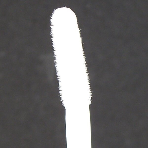 CANMAKE Lash Care Essence