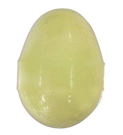 NOL Lucky Dolphin, Lucky Dinosaur  Bath Ball 2