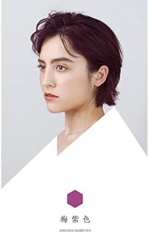 WA-color Doh Hair Color