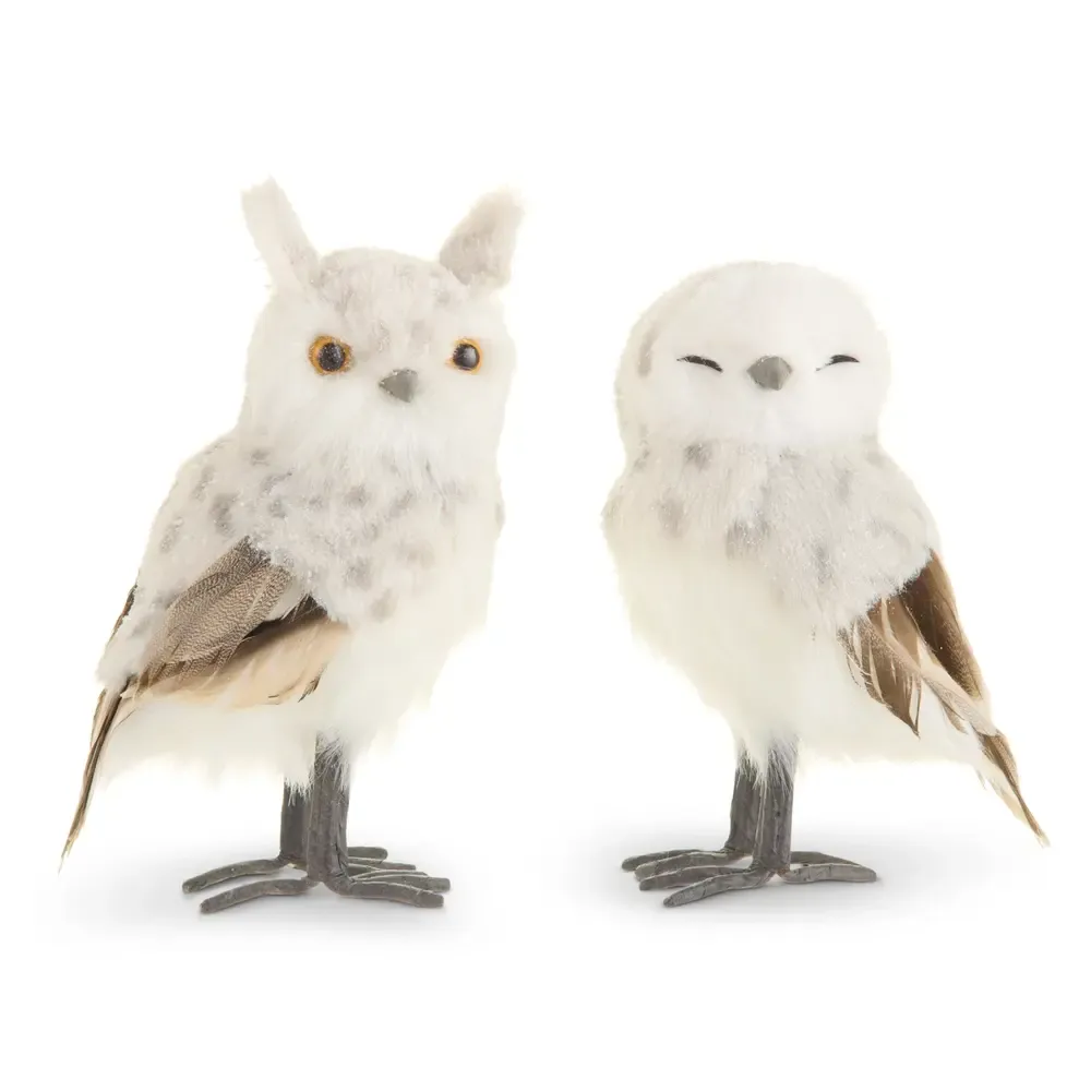 Tabletop Owl