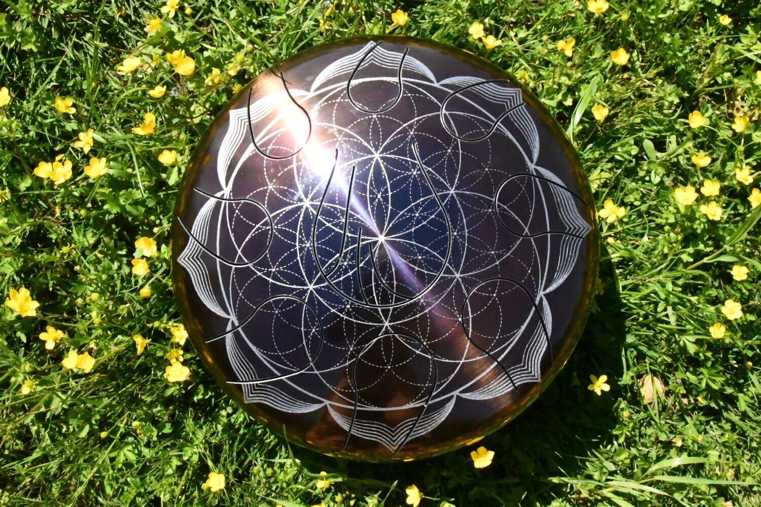 Fleur de Vie