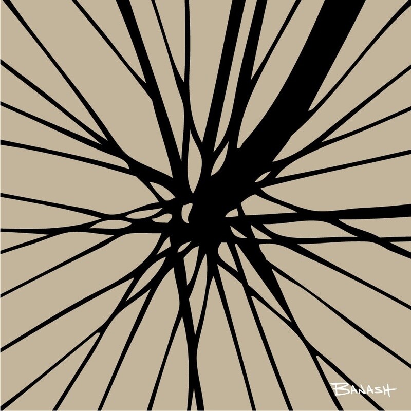 SCHWINN AUTOCYCLE FORK SPOKES | CANVAS | 1:1 RATIO | LIFESTYLE | ILLUSTRATION