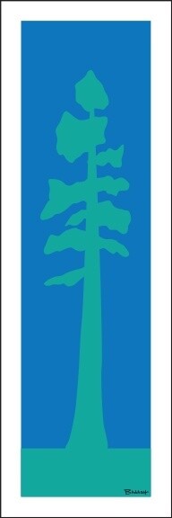 COLORADO PINE | LOOSE PRINT | 1:3 RATIO | LIFESTYLE | ILLUSTRATION