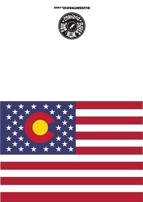 USA FLAG W/CO LOGO DURANGO 81301 BLANK CARD