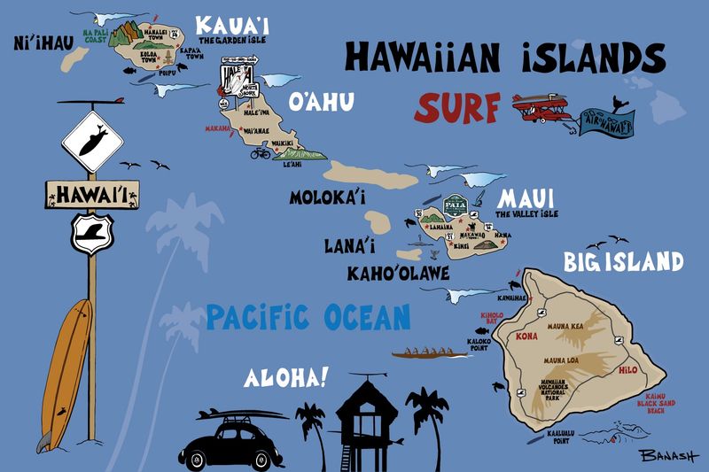 HAWAIIAN ISLANDS SURF MAP | CANVAS | ILLUSTRATION | 2:3 RATIO