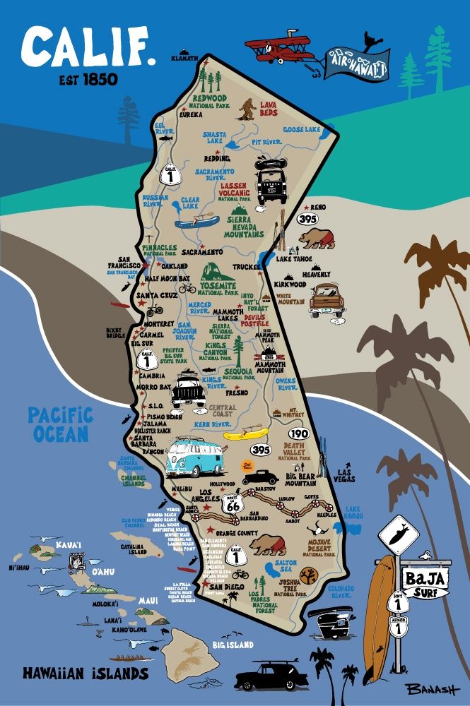 CALIF COAST SURF | LOOSE PRINT | ILLUSTRATION | 2:3 RATIO