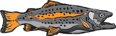 ORANGE TROUT | STICKER, Size: 2&quot;