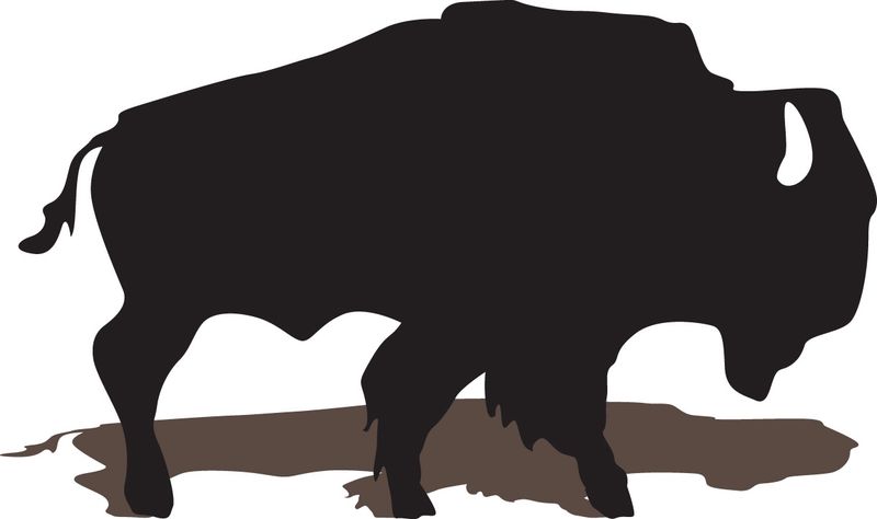 BISON | STICKER