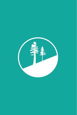 PINE TREE