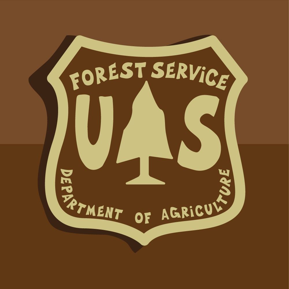 US FOREST SERVICE | CANVAS | ILLUSTRATION | 1:1 RATIO