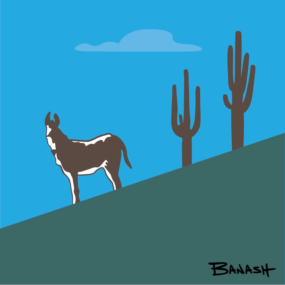 BURRO CACTUS SWITCHBACK TOP | CANVAS | ILLUSTRATION | 1:1 RATIO