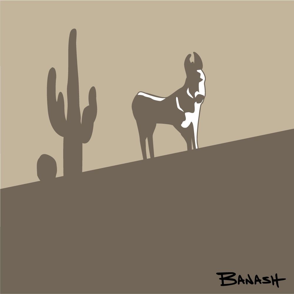 BURRO CACTUS SWITCHBACK LOWER | CANVAS | ILLUSTRATION | 1:1 RATIO