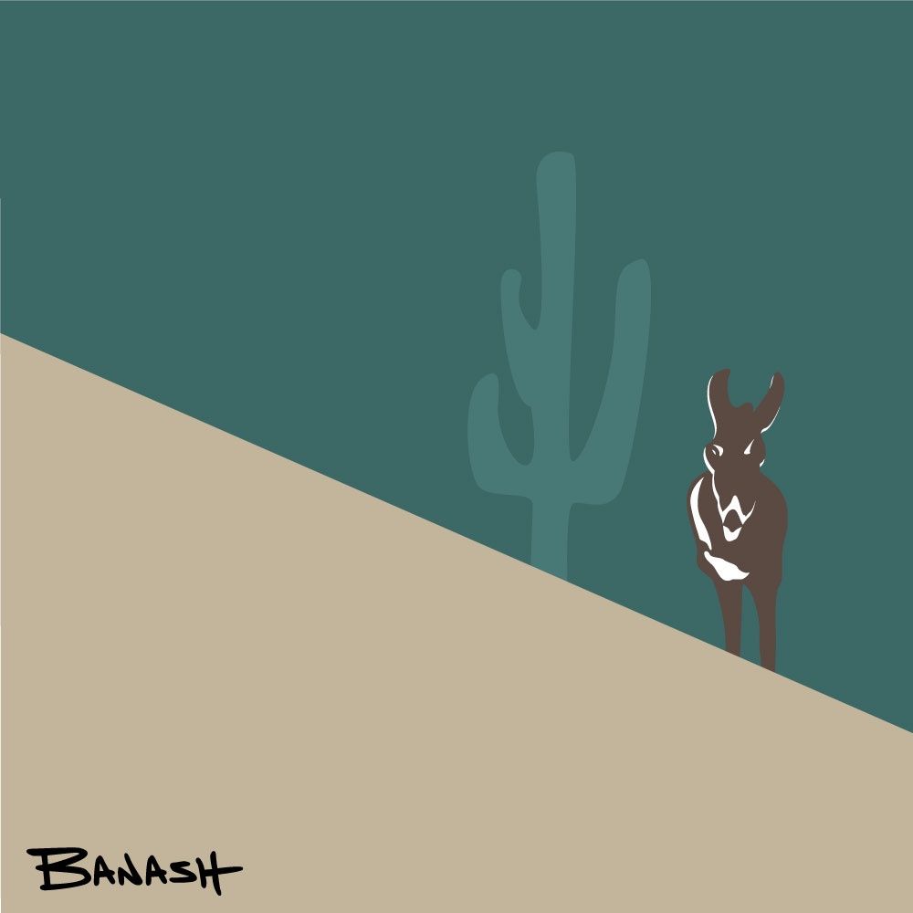 BURRO CACTUS SWITCHBACK MID | LOOSE PRINT | ILLUSTRATION | 1:1 RATIO