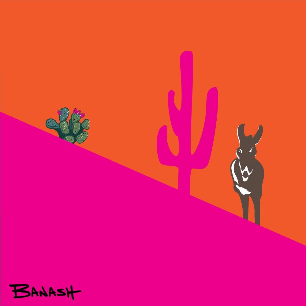 BURRO CACTUS SWITCHBACK MID ORANGE PINK | CANVAS | ILLUSTRATION | 1:1 RATIO