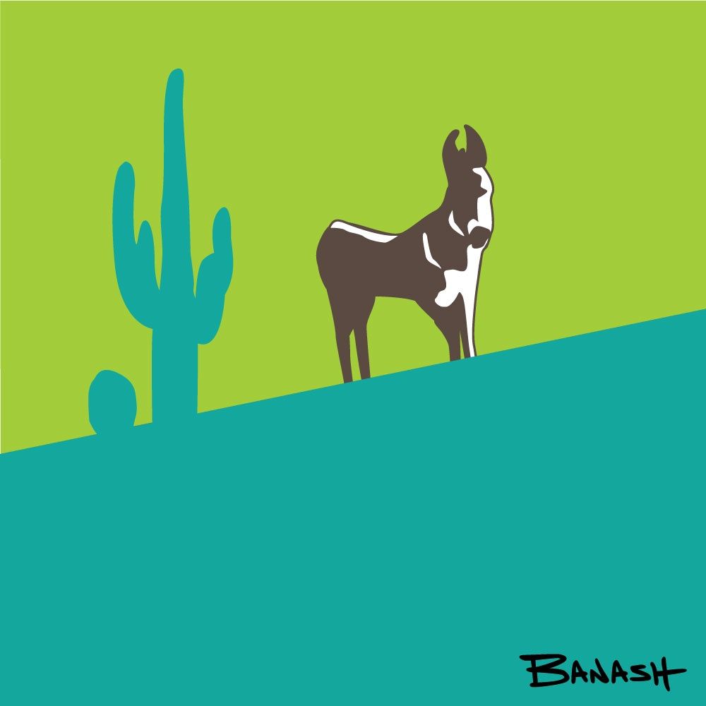 BURRO CACTUS SWITCHBACK LOWER LIME SEAFOAM | CANVAS | ILLUSTRATION | 1:1 RATIO