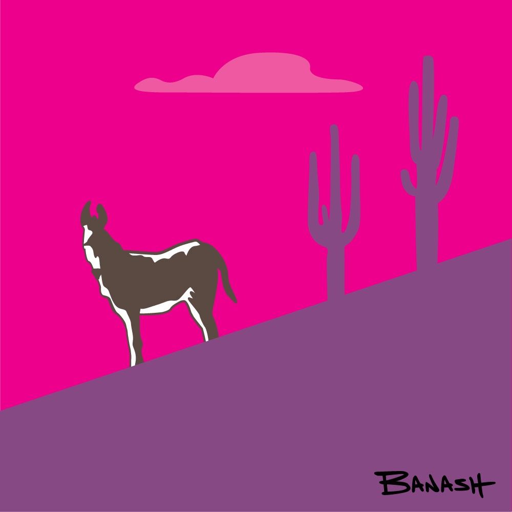 BURRO CACTUS SWITCHBACK TOP PINK VIOLET | CANVAS | ILLUSTRATION | 1:1 RATIO