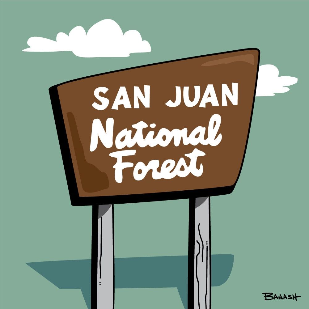 SAN JUAN NATIONAL FOREST BACKCOUNTRY SIGN | CANVAS | ILLUSTRATION | 1:1 RATIO