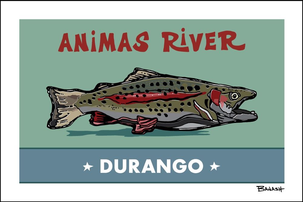 DURANGO ANIMAS RIVER RAINBOW TROUT | CANVAS | ILLUSTRATION | 2:3 RATIO