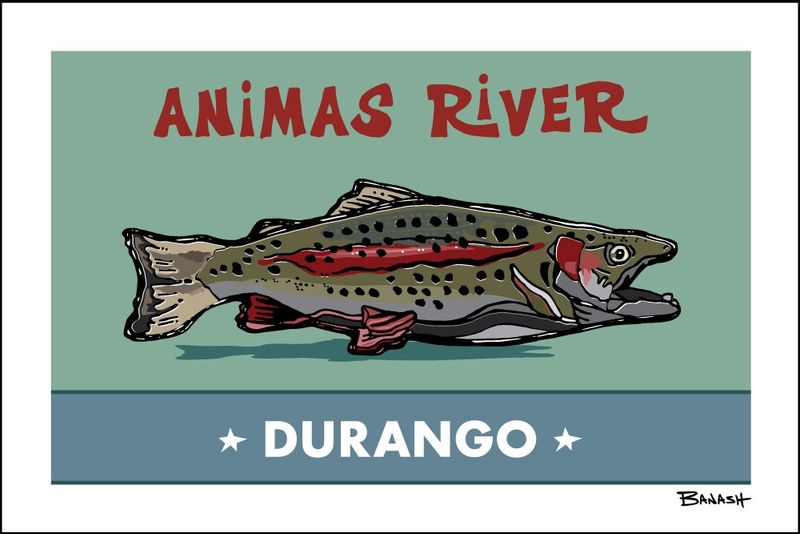 DURANGO ANIMAS RIVER RAINBOW TROUT | LOOSE PRINT | ILLUSTRATION | 2:3 RATIO