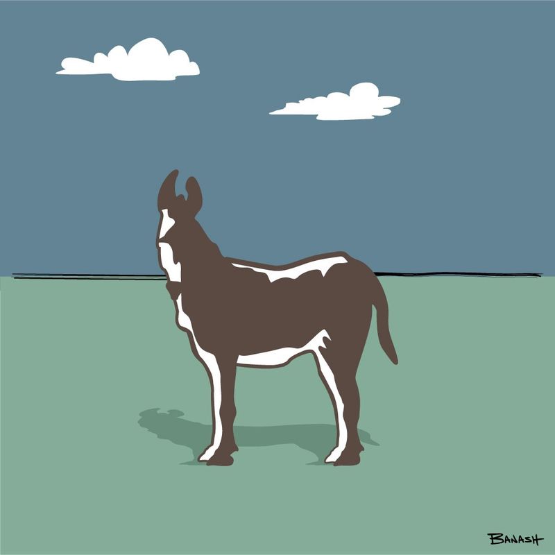 BURRO | CANVAS | ILLUSTRATION | 1:1 RATIO